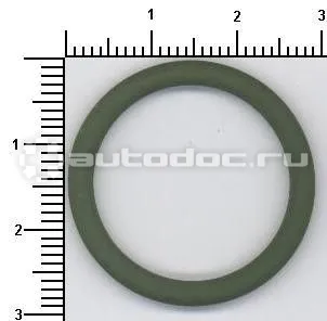 Кольцо уплотнительное