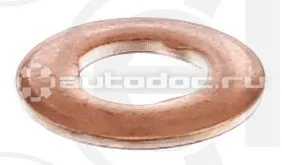 Шайба