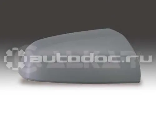 Кожух зеркала