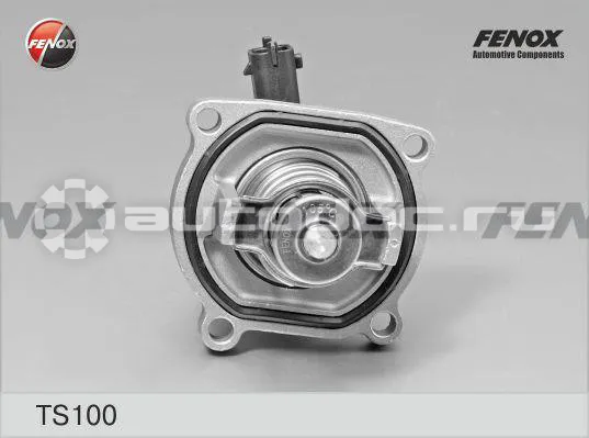 FENOX ts100 - Термостат