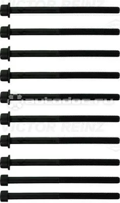 VICTOR REINZ 141038301 - Болты ГБЦ