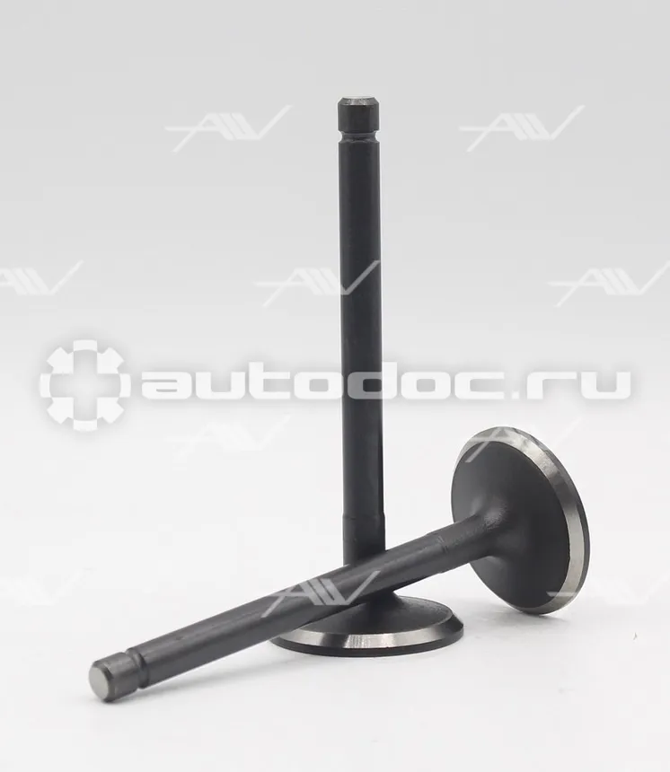Клапан впускной