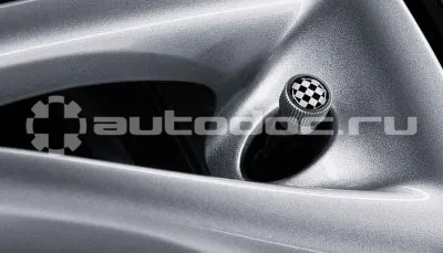 BMW Комплект колпачков на ниппель