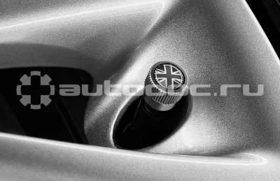 BMW Комплект колпачков на ниппель