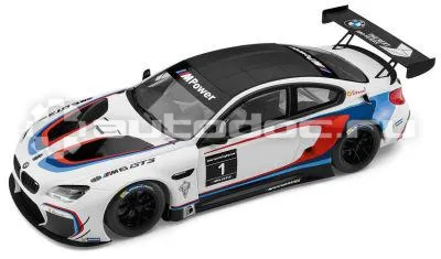 BMW Модель автомобиля M6 GT3 (F13), White