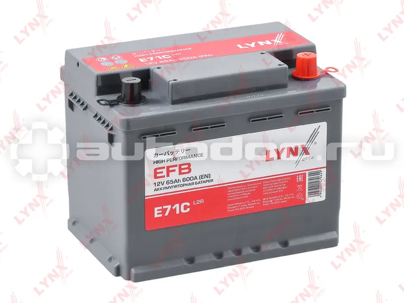 LYNX Аккумулятор EFB 65 Ah, 600 A, обратная, 242x175x190