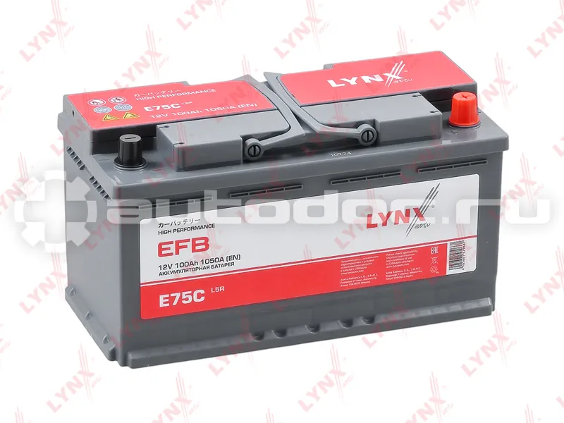 LYNX Аккумулятор EFB 100 Ah, 1050 A, обратная, 353x175x190
