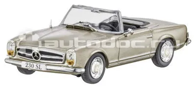 MERCEDES BENZ Модель автомобиля