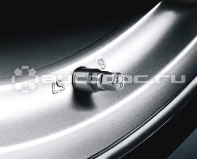PORSCHE Комплект колпачков на ниппель