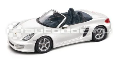 PORSCHE Модель автомобиля