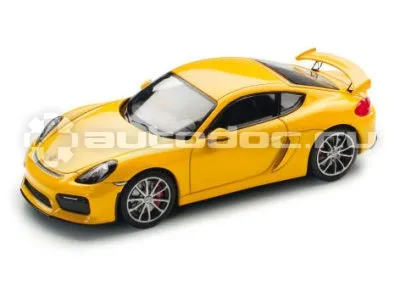 PORSCHE Модель автомобиля
