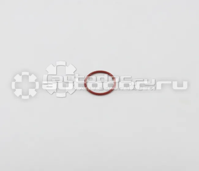 Кольцо уплотнительное
