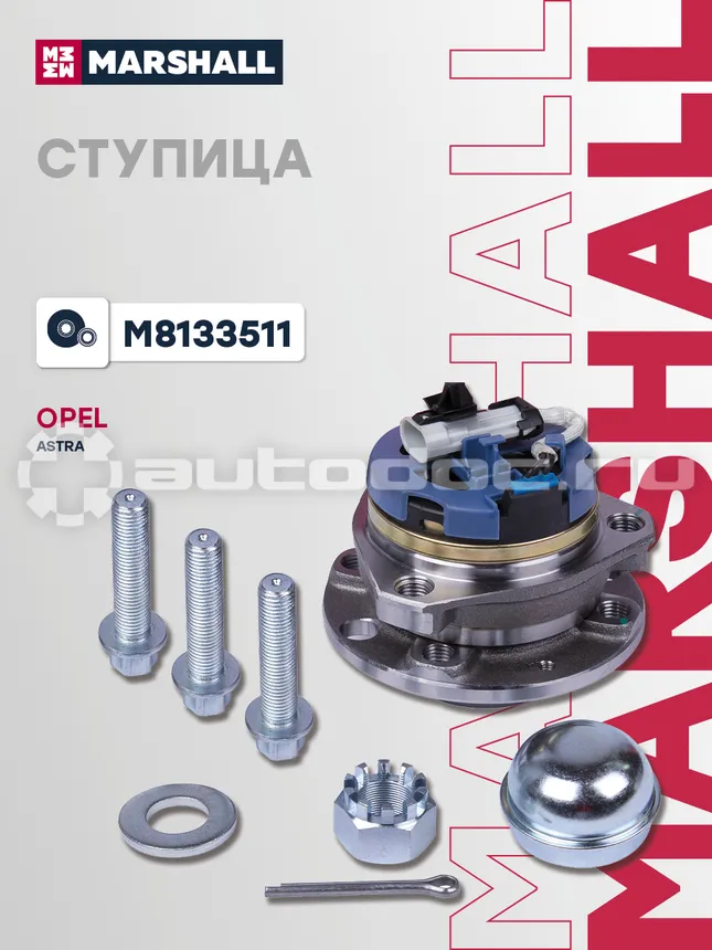 Ступица