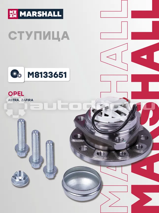 Ступица