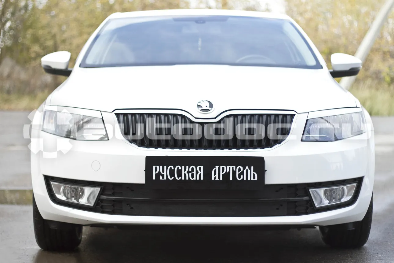 Зимняя заглушка решетки переднего бампера