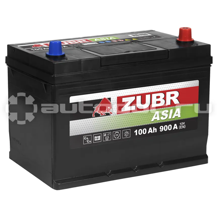 ZUBR Аккумулятор Premium Asia 100Ah R+ (нижний борт), 303x175x225, 850А