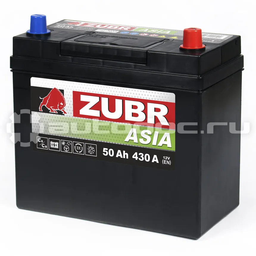 ZUBR Аккумулятор Premium Asia 50Ah R+ (без борта), 237x127x225, 430А