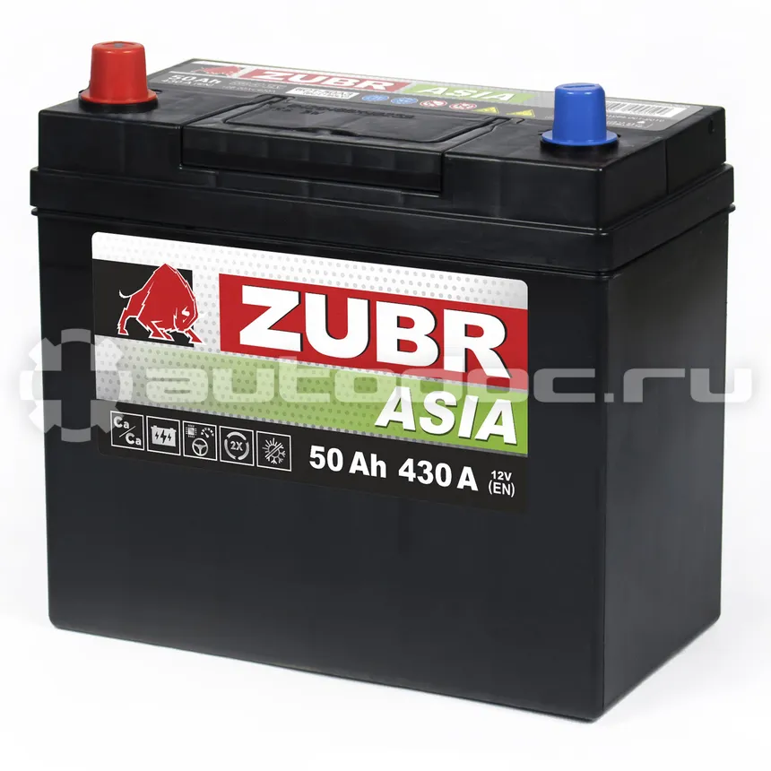 ZUBR Аккумулятор Premium Asia 50Ah L+ (без борта), 237x127x225, 430А