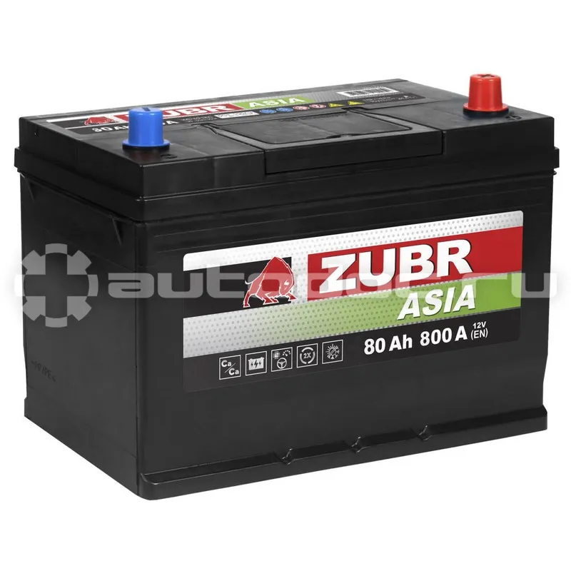 ZUBR Аккумулятор Premium Asia 80Ah R+ (нижний борт), 261x175x225, 740А