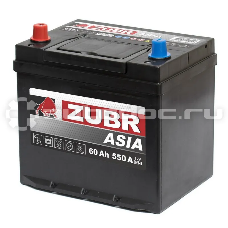 ZUBR Аккумулятор Ultra Asia 60Ah L+ (нижний борт), 230x179x225, 550А