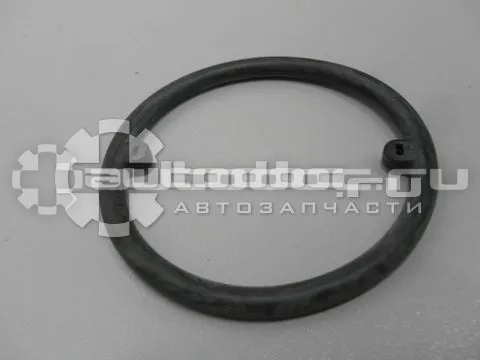 VAG 038117070a - Кольцо уплотнительное