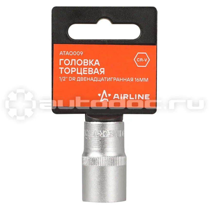 AIRLINE Головка торцевая 1/2"DR двенадцатигранная 16мм, L=38мм пласт.подвес