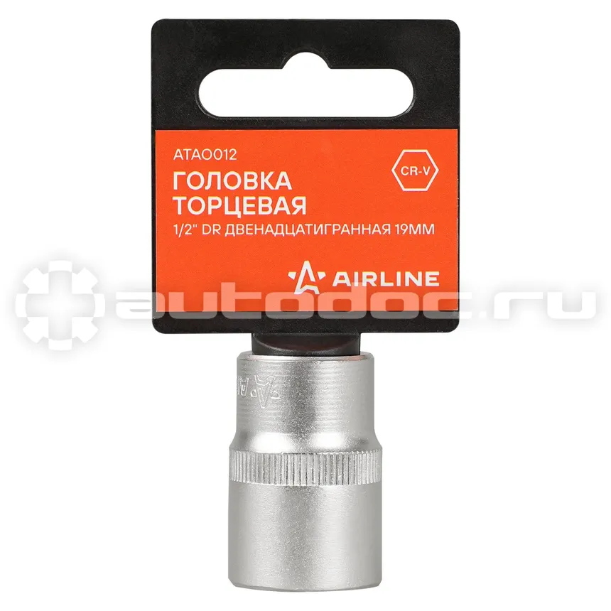 AIRLINE Головка торцевая 1/2"DR двенадцатигранная 19мм, L=38мм пласт.подвес