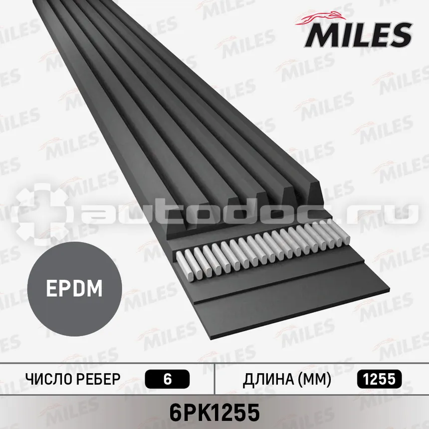 MILES 6pk1255 - Ремень поликлиновой