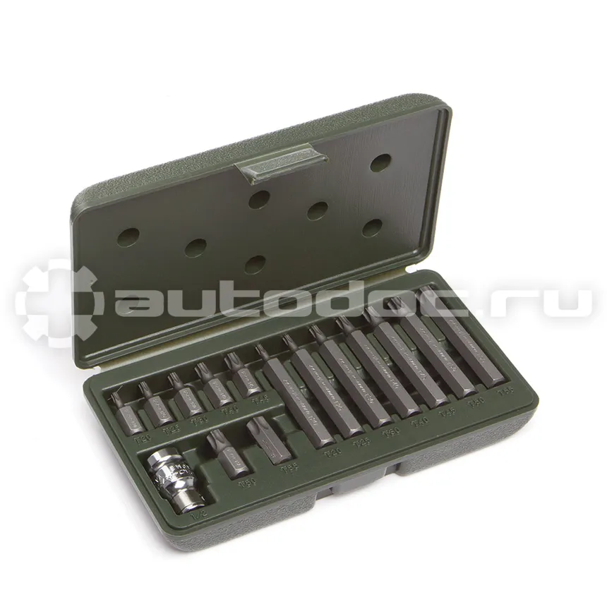 ДЕЛО ТЕХНИКИ 626295 Набор вставок TORX 3 | 8" (Т20,Т25,Т30,Т40,Т45,Т50,Т55) длина 30 мм и 75 мм, 15 предм.