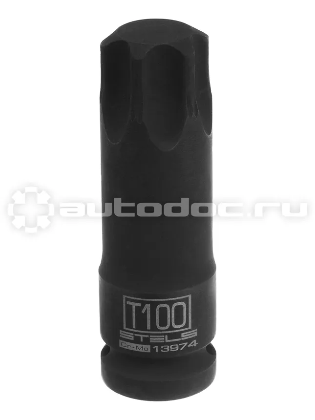 STELS Головка ударная TORX 100 1 | 2