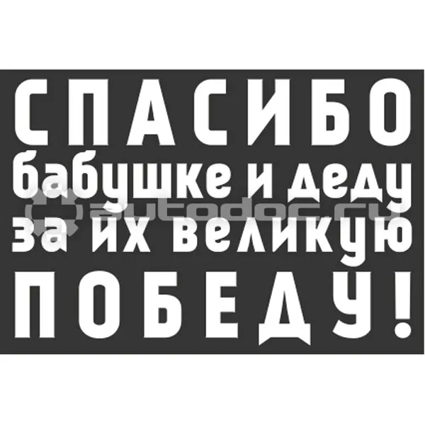 SKYWAY Наклейка
