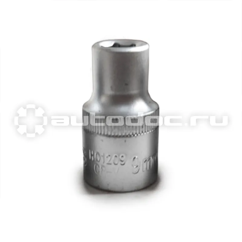 AVS Головка торцевая 6-гранная 1 | 2DR (09 мм) H01209