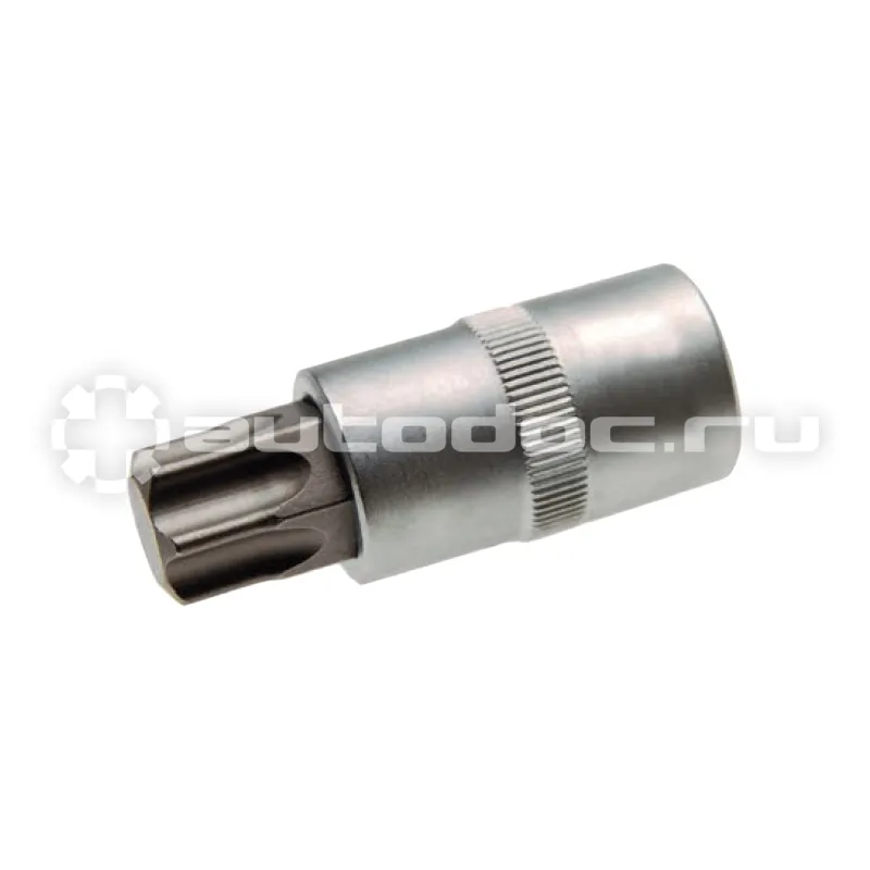 AVS Головка со вставкой 1 | 2 TORX (T45, L=55 мм)