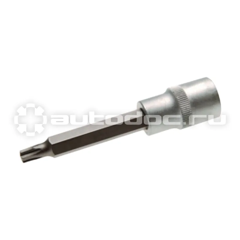 AVS Головка со вставкой 1 | 2 TORX (T20, L=100 мм)