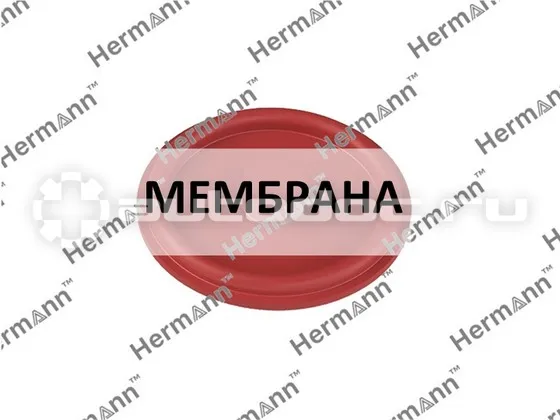 Мембрана