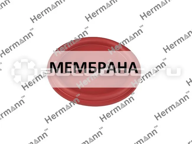 Мембрана