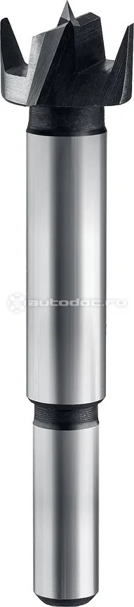 STAYER 29985-20_z01 Сверло форстнера