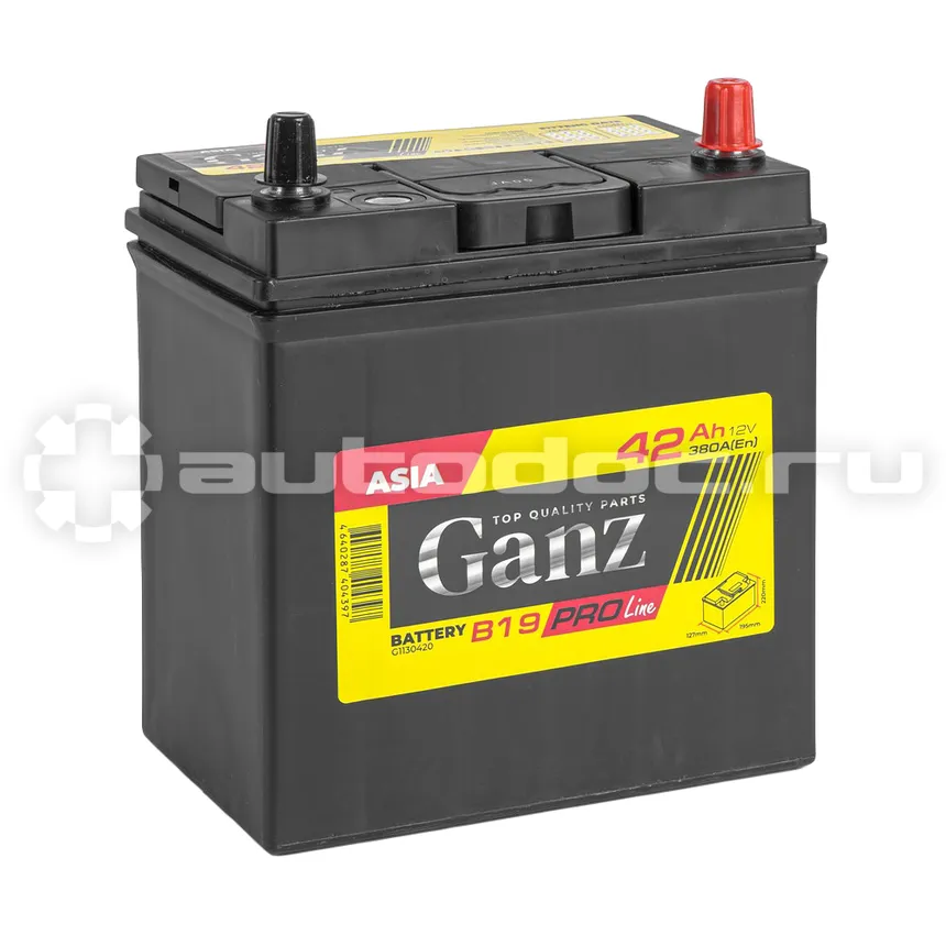 GANZ Аккумулятор PRO-Line JIS 42 А/ч обратный R+ 195x127x220 B19 EN 380 А