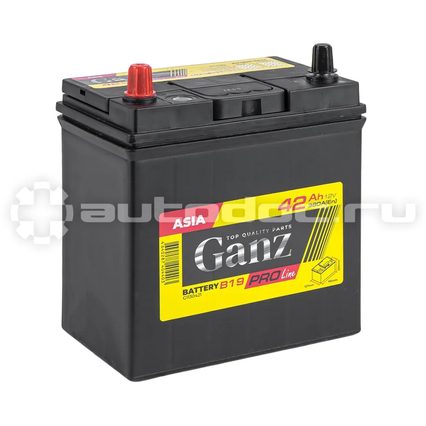 GANZ Аккумулятор PRO-Line JIS 42 А/ч прямой L+ 195x127x220 B19 EN 380 А