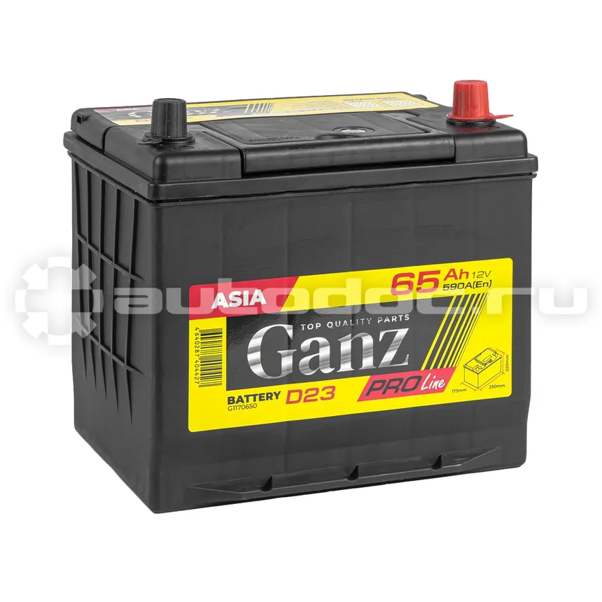 GANZ Аккумулятор PRO-Line JIS 65 А/ч обратный R+ 230x173x220 D23 EN 590 А