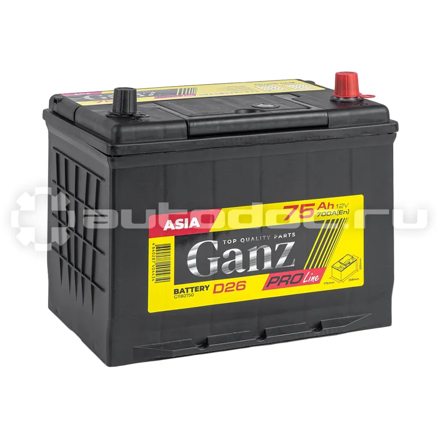 GANZ Аккумулятор PRO-Line JIS 75 А/ч обратный R+ 258x173x220 D26 EN 700 А