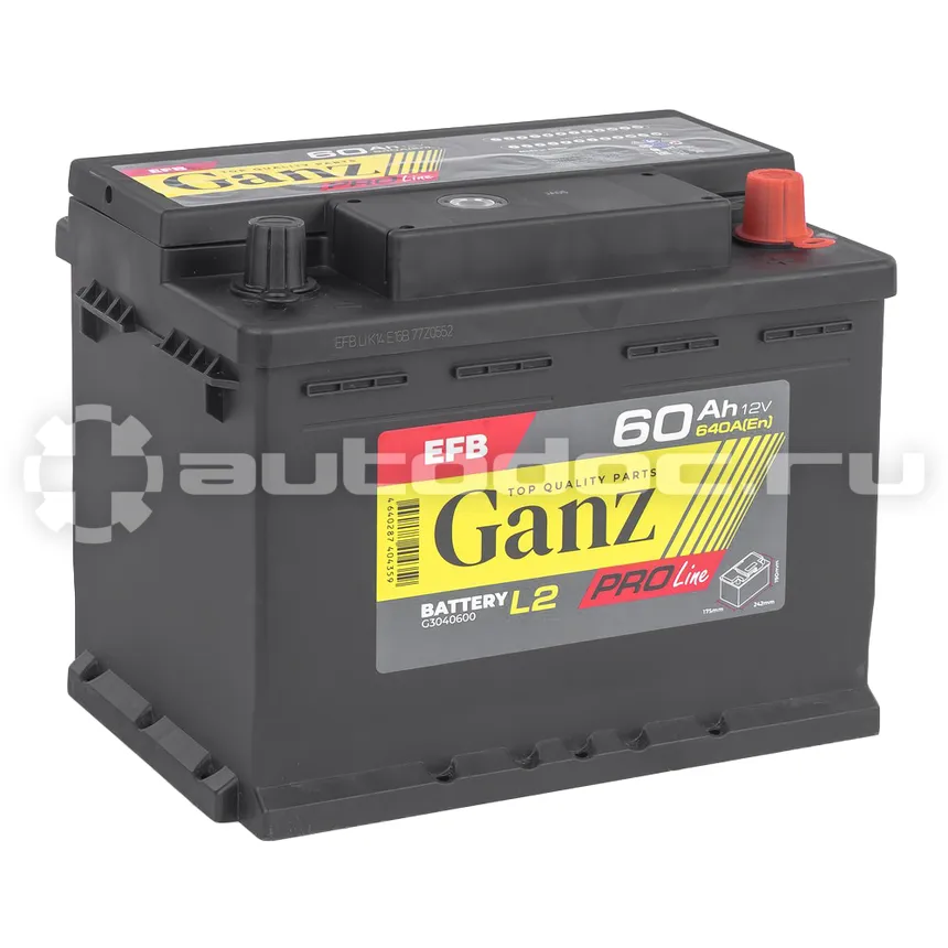 GANZ Аккумулятор PRO-Line EFB 60 А/ч обратный R+ 242x175x190 L2 EN 640 А