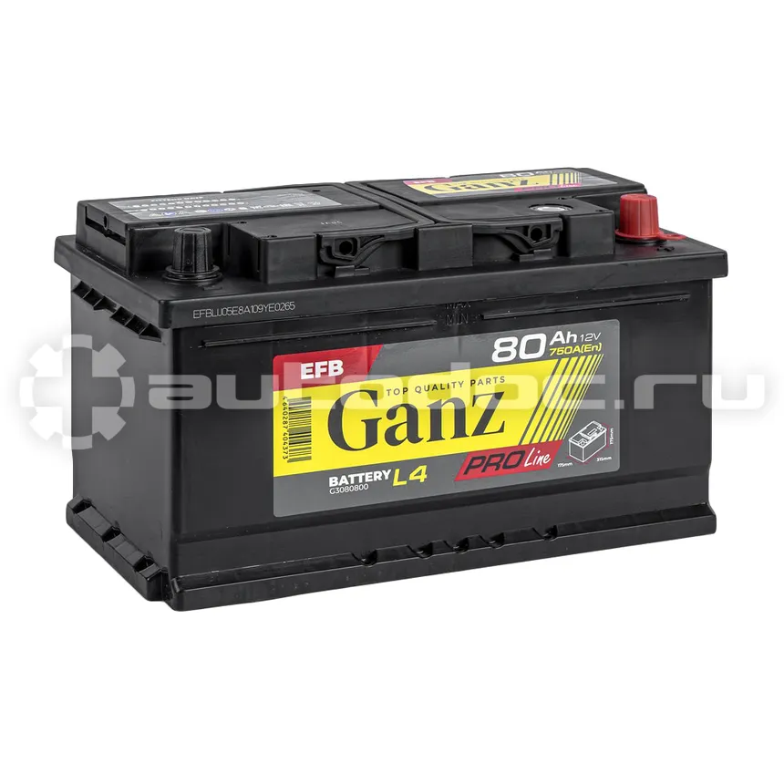GANZ Аккумулятор PRO-Line EFB 80 А/ч обратный R+ 315x175x175 L4 EN 750 А