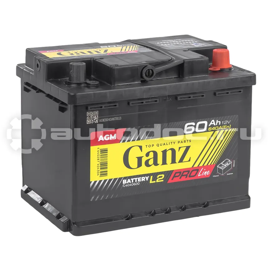 GANZ Аккумулятор PRO-Line AGM 60 А/ч обратный R+ 242x175x190 L2 EN 640 А