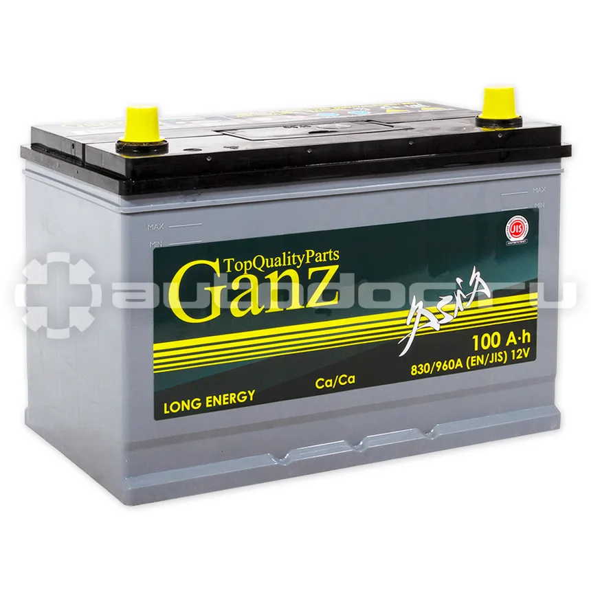 GANZ Аккумулятор ASIA 100 А/ч обратный R+ 304x173x220 D31 EN 830 А