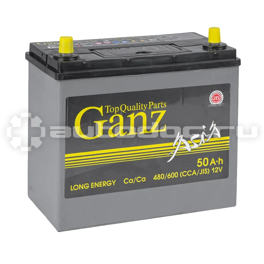 GANZ Аккумулятор ASIA 50 А/ч прямой L+ 238x129x225 B24 EN 480 А
