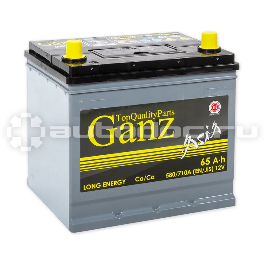 GANZ Аккумулятор ASIA 65 А/ч обратный R+ 232x175x225 D23 EN 580 А