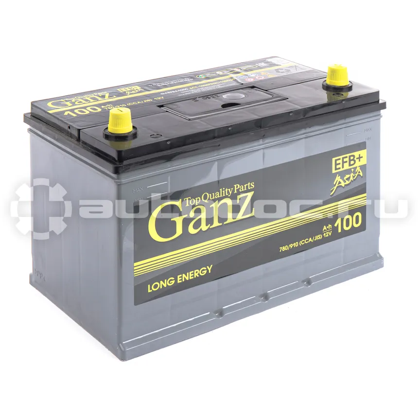 GANZ Аккумулятор ASIA EFB 100 А/ч обратный R+ 306x175x225 D31 EN 780 А