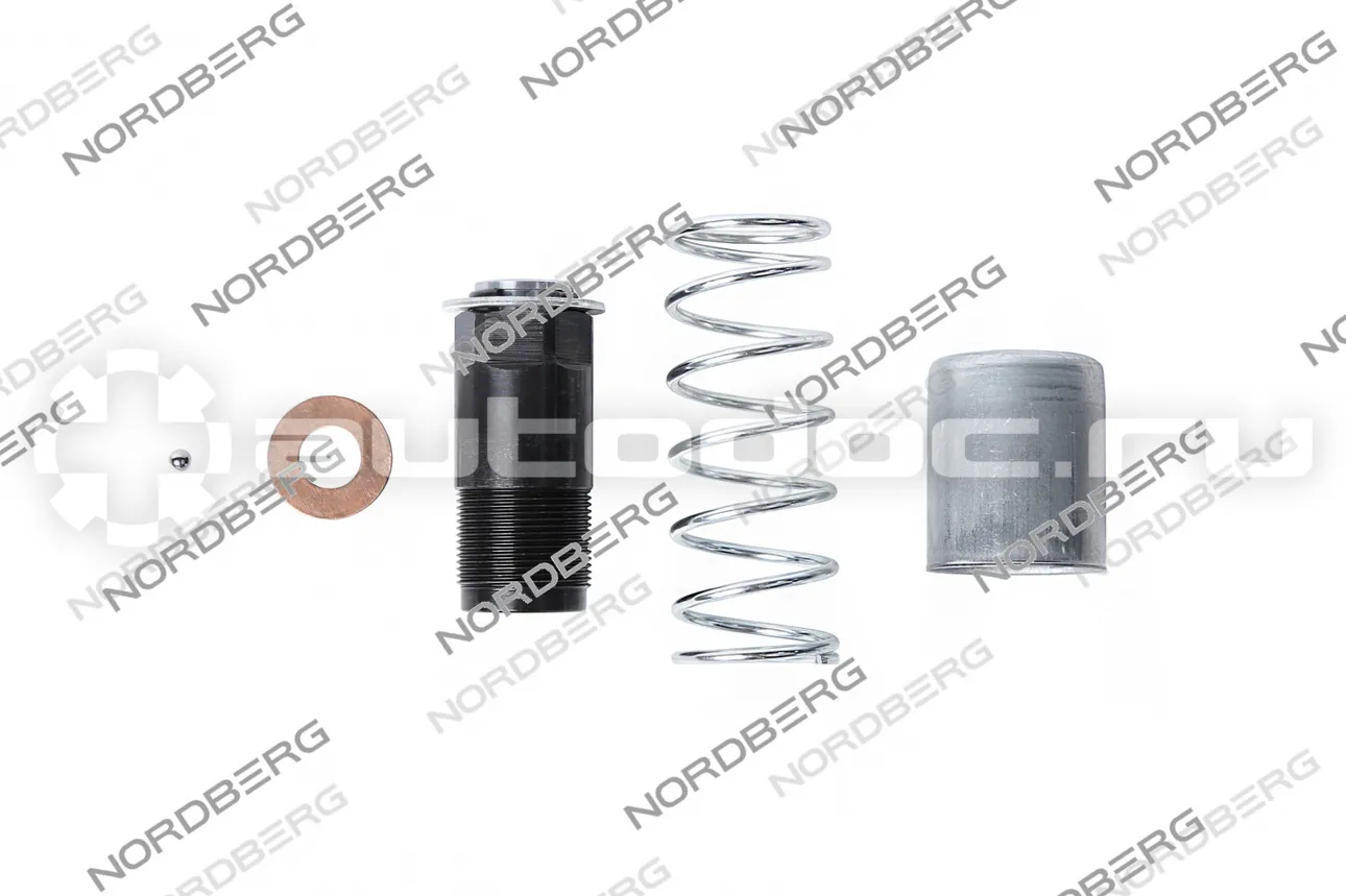 NORDBERG Плунжер большой (?22мм) в сборе для N32030