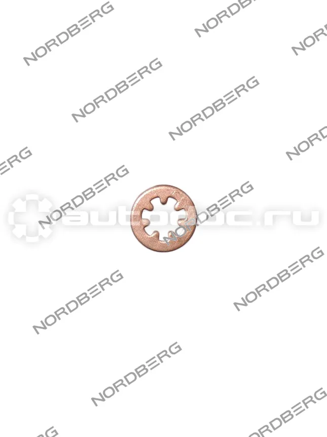 NORDBERG Шайба насоса медная N3630A
